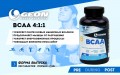 BCAA 4.1.1